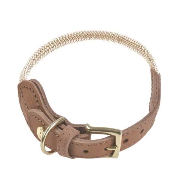 hundehalsband tau mit leder l 37 43cm torekov golden sand