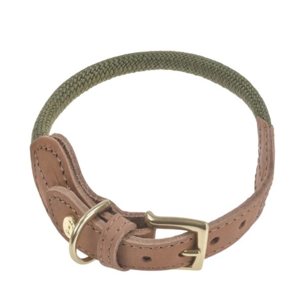 hundehalsband tau mit leder l 37 43cm torekov shimmer green