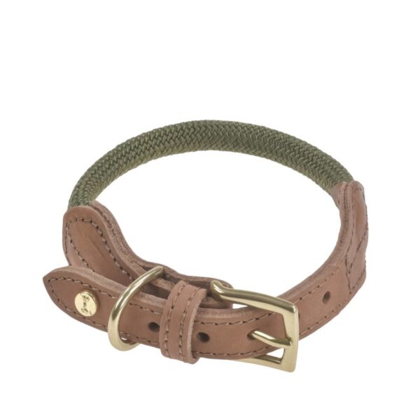 hundehalsband tau mit leder m 33 38cm torekov shimmer green