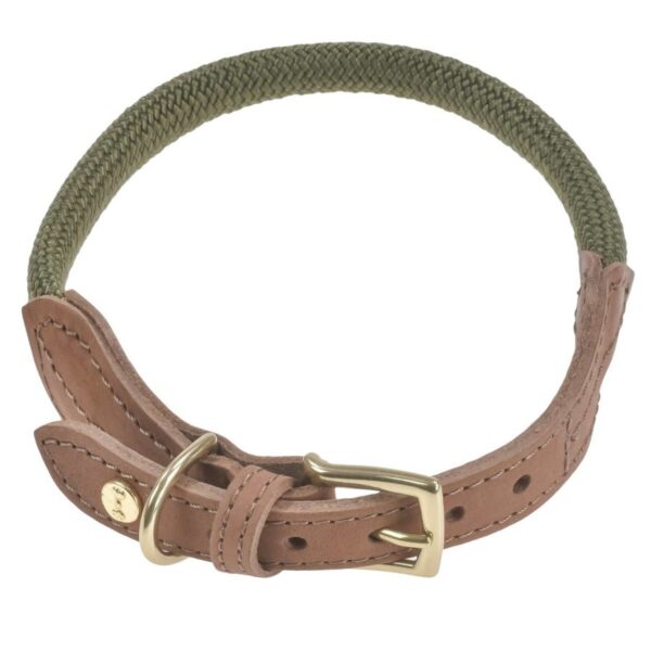 hundehalsband tau mit leder xl 42 48cm torekov shimmer green